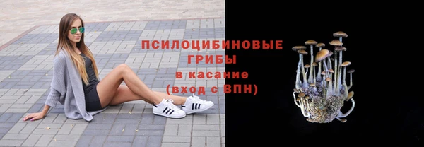 мдпв Горнозаводск