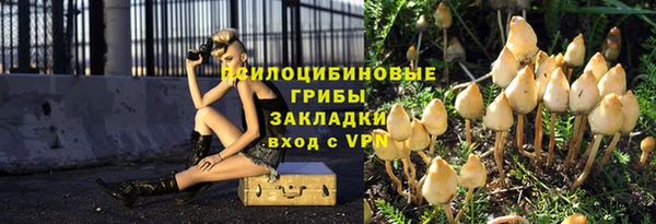 мдпв Горнозаводск