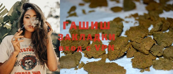 амф Горняк