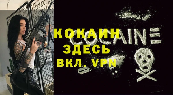 мдпв Горнозаводск