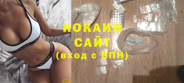 амф Горняк