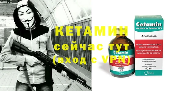 амф Горняк
