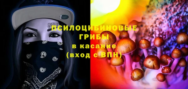амф Горняк