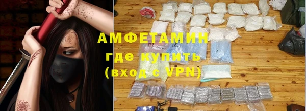 амф Горняк