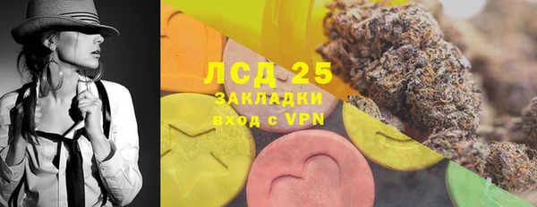 мдпв Горнозаводск